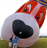 Transport: air balloon