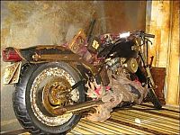 TopRq.com search results: Harley Davidson swept away by Japan tsunami found in Canada