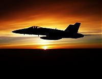 Transport: McDonnell Douglas F/A-18 Hornet