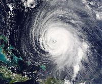 TopRq.com search results: Hurricane Irene 2011 from space