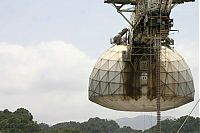 TopRq.com search results: Arecibo Observatory radio telescope, National Astronomy and Ionosphere Center, Arecibo, Puerto Rico