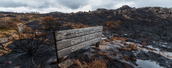 Tasmania island fire, Commonwealth of Australia, South Pacific Ocean