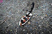 TopRq.com search results: Great Pacific Garbage Patch