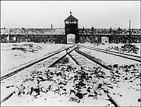 TopRq.com search results: Auschwitz, Poland
