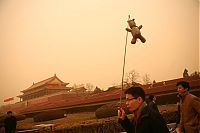 TopRq.com search results: Sandstorms whip across China‎