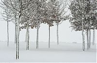 TopRq.com search results: GERMANY-WEATHER-WINTER-SNOW