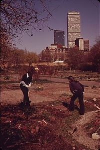 TopRq.com search results: History: Boston in the 1970s