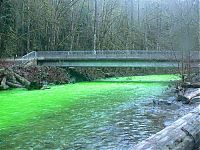 TopRq.com search results: Fluorescein dumped into Goldstream River, British Columbia, Canada