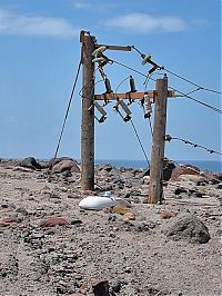 TopRq.com search results: Photos of exclusion zone, Montserrat, Leeward Islands, Caribbean Sea
