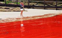 World & Travel: Red algae beach, Sydney, Australia