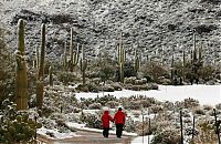 World & Travel: Grand Canyon covered with snow, Arizona, United States