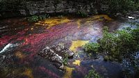 World & Travel: Caño Cristales, The River of Five Colors, Serrania de la Macarena, Meta, Colombia