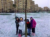 TopRq.com search results: 2013 Middle East cold snap, Alexa winter storm, Cairo, Egypt