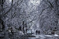 TopRq.com search results: 2013 Central and Eastern Canada ice storm, Toronto, Ontario, Canada