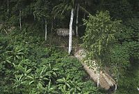 TopRq.com search results: Lost uncontacted tribe, Alto Tarauacá, Acre state, Brazil
