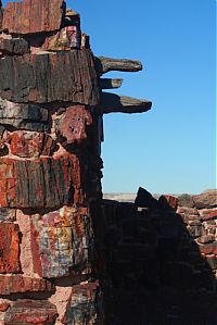 TopRq.com search results: Petrified Forest National Park, Navajo, Apache, Arizona, United States