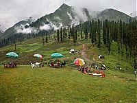 TopRq.com search results: Life in Pakistan