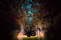 TopRq.com search results: Waitomo Glowworm Caves, Waitomo, North Island, New Zealand