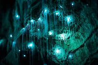 TopRq.com search results: Waitomo Glowworm Caves, Waitomo, North Island, New Zealand